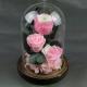 Beautiful Preserved Rose in Glass Dome enchanted roses arrangement for lover