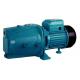Excellent Suction Up To 80 Meters Self Priming Jet Pump For Shallow Well Pumping 1.5HP