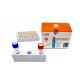 FeTOX Feline Cat Test Kit Toxoplasma Nucleic Acid Test PCR Taqman