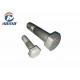 Carbon steel High Strength ASTM A325 Zinc Surface Hex Head Bolts