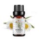 15ml Pure Plant Essential Oil Soothing Chamomile Essential Oil Skin Care OEM