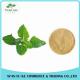 Peppermint / Mentha Haplocalyx Leaf Extract Menthol