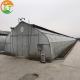 Mushroom Farm Greenhouse with Galvanized Material Frame and Film Cover