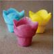 Lotus Wrappers Muffin Liners Tulip Paper Cups For Hotel