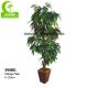 Tropical Mango Trees For Sale Chinese Goods Wholesale Artificial Mango Tree