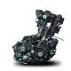 LIFAN/ZONGSHEN/LONCIN/DAYANG 652 Cm3 Motorcycle Engine Water Cooled 4 Stroke EFI DOHC