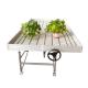 4x8feet Movable Ebb And Flood Rolling Bench Table Abs Tray In Greenhouse