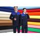 Polyester Plain Weave Pearl Canvas Fabric 20% Viscose 23X23 88X54 260GSM Flight Attendant Costume