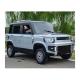 Customized Radar Chinese Newest Adult 2024 4 Doors Electric Mini Car SUV for Market