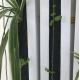 Zipgrow Hydroponic Vertical Farming Towergarden Easy To Operate