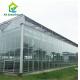 Automatic Agricultural Glass Greenhouse HDG Steel Turnkey Hydroponic Greenhouse
