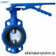 CE Customized DN80 Manual Nylon Butterfly Valve with lever
