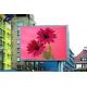 Outdoor LED Video Screen , 3 In 1 SMD P10 LED Display Advertising Board