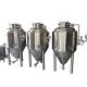 300lt Microbrewery Equipment for Kombucha Fermenter in United Beer Fermentation Tank