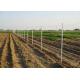 10FT Length Garden Fence Metal Posts , Durable Grape Trellis Posts U Type