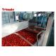 220V/380V Small Scale  Tomato Paste Processing Line With Sorting Section