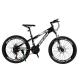 Affordable Mountain Bicycle with Sus Fokr Cp Crown and Tongli Michanical Disc Brake