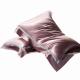 60 Fabric Count Solid Pattern Type 19mm Silk Composite Pillow with Pillowcase
