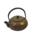 cast iron teapot