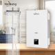 Wall Mounted Flue Gas Water Heater With Flue Exhaust And Optional Protection