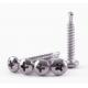 DIN7504N ST5.5 Self Tapping Drilling Screw Binding Screw Zinc Plate Surface
