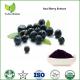 acai berry powder extract,acai berry power slim,acai extract,acai fruit extract