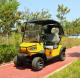 Import EV Golf Electric Cart Battery Powered Rechargeable 5KW Motor Hunting Cars