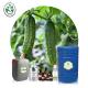 CAS 70955-25-8 Pure Organic Essential Oils Cucumber Essential Oil Skin Care