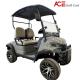 Lithium Battery Electric Hunting 2 Seater Golf Cart Buggy Car