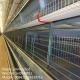 10000 Layers Chicken Cage,Layer Chicken Cages,Galvainzed Layers Chicken Cages For Kenya Farm