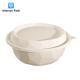 Food Packaging Eco Friendly Disposable Lunch Boxes Degradable Customized Size