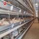 H Type Poultry Equipment Automatic Battery Cage System 9 Layers / Cell