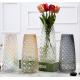 Creative Vertical Glass Vase Pineapple Flower Vase