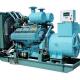 High Durability Biogas Generator Equipment For Power Generation