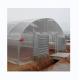 Cooling System Single Span Agricultural Greenhouses For Tomato Agriculture