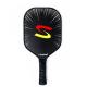 OEM Sports Game Glass Fiber Pickleball Paddle Set