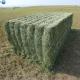High Quality PP Twine Manufacture Baler Twine For Agriculture In China