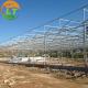 Litai's Greenhouse and Irrigation System The Perfect Solution for Modern Farming