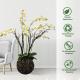 High Simulation 56cm Artificial Butterfly Orchid Flower Plant 6 Colors
