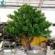 Big Size Artificial Tree Plant , Decorative Outdoor Trees With Fiberglass Trunk