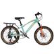 20inch Lightweight Mountain Bike Junior MTB Bike With Carrier 7 Gear