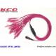 OM4 Pink Violet MPO 24 LC Fiber Optic Breakout Patch Cord For MPO Modular With MPO Adapter