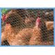 PVC Coated Heavy Duty Chicken Wire Stainless Steel Netting Mesh For Farms