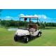 Left Hand Drive 2 Seats Electric Car Golf Cart With Deep Recycle Batteries