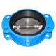 ANSI check valve rubber seal