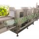 2-9T/H Filling Speed Coconut Processing Machine