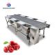 Customized Vegetable Processing Machine Fruit Sorting Table