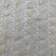 Fashionable Eyelet Cotton Embroidery Fabric Various M13-026