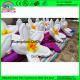 Customized Promotion PVC or Oxford Party Led Decoration Lighting Wedding inflatable flower