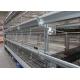Poultry H Type Broiler Chicken Cage For Meat Chicken Convenient Management
